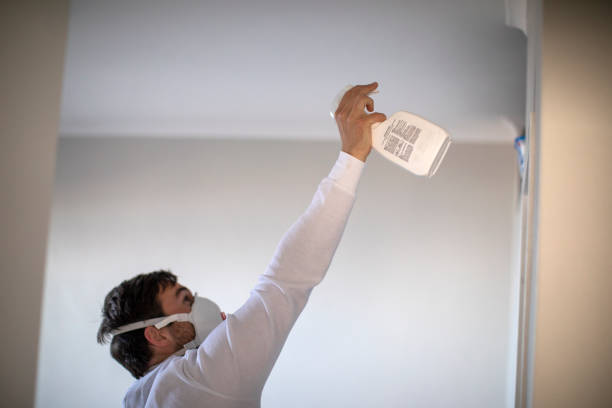 Best Mold Cleaning Services  in Central Heights Midland City, AZ
